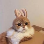 Patricia Ramírez's avatar